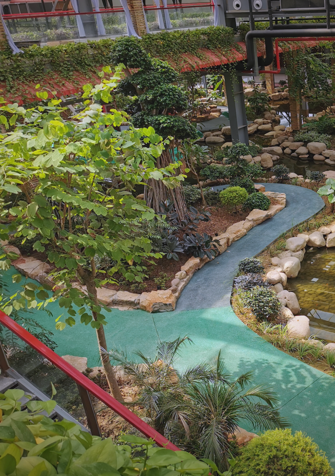 金沙洲壹号庄园:体验现代与自然融合的悠闲假期