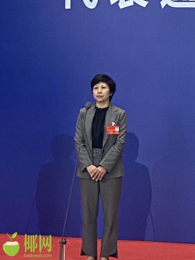 海口市人大代表汪岩:江东新区充分发挥"头部企业"的"吸附力"