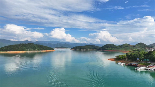 资兴白廊花海图片