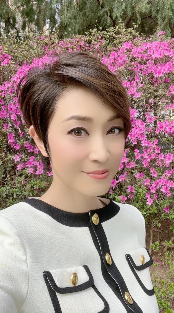 女明星f4姐妹团,洪欣1971年,陈法蓉1966年,蔡少芬1973年,朱茵1971年