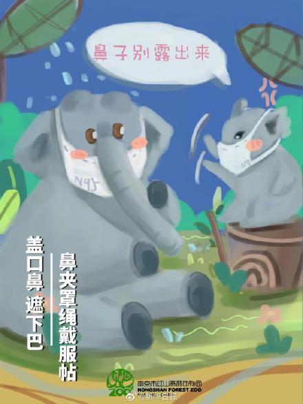 日常口罩怎么戴?小动物们来示范