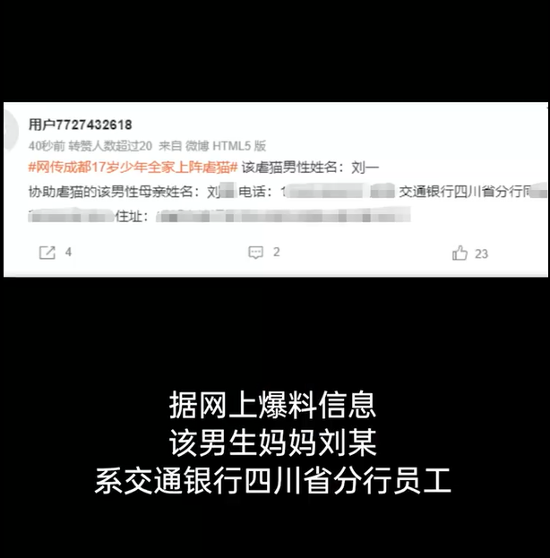 网曝银行高管17岁儿子活剥猫皮 父母被指专门领养猫供其子虐待