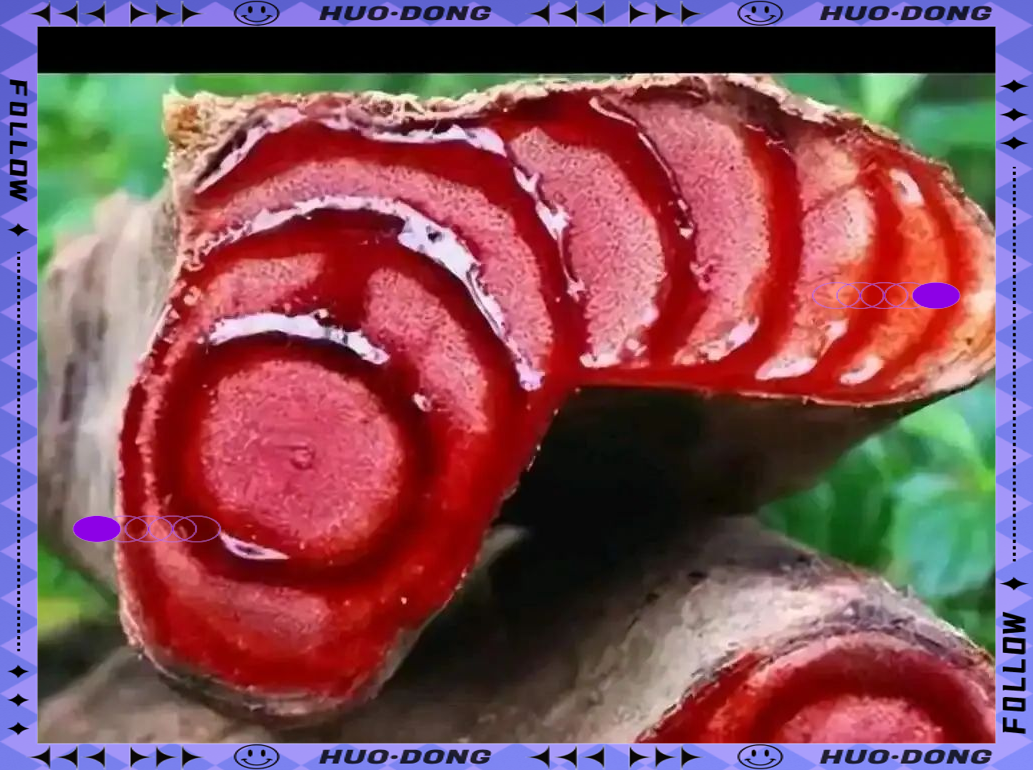 的丰富功效与多种食用方法