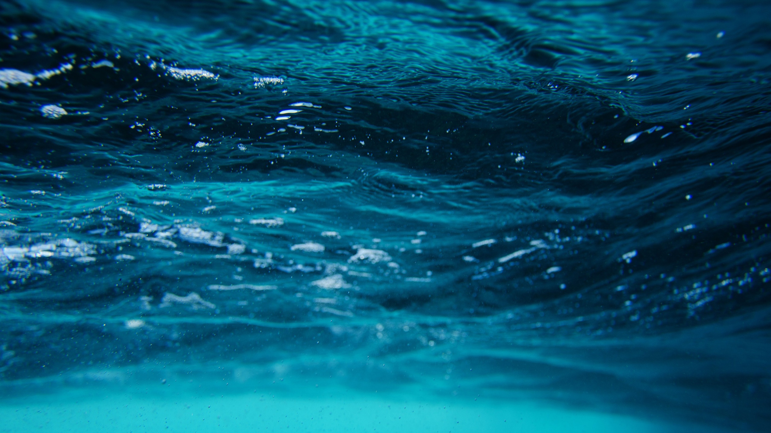 童话 小说 悟空访海