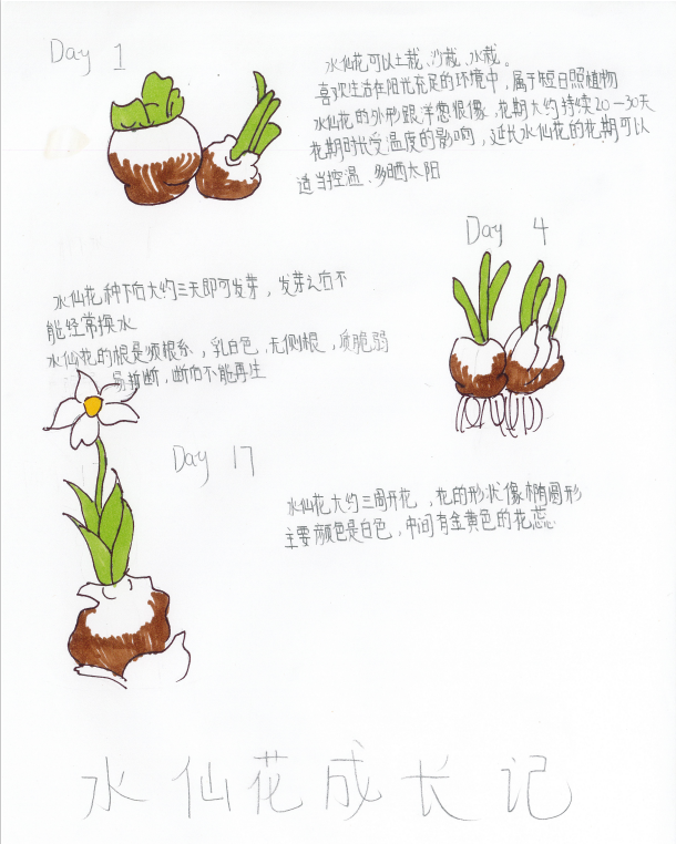 巧手生趣融学物知初中生物优秀寒假作业展