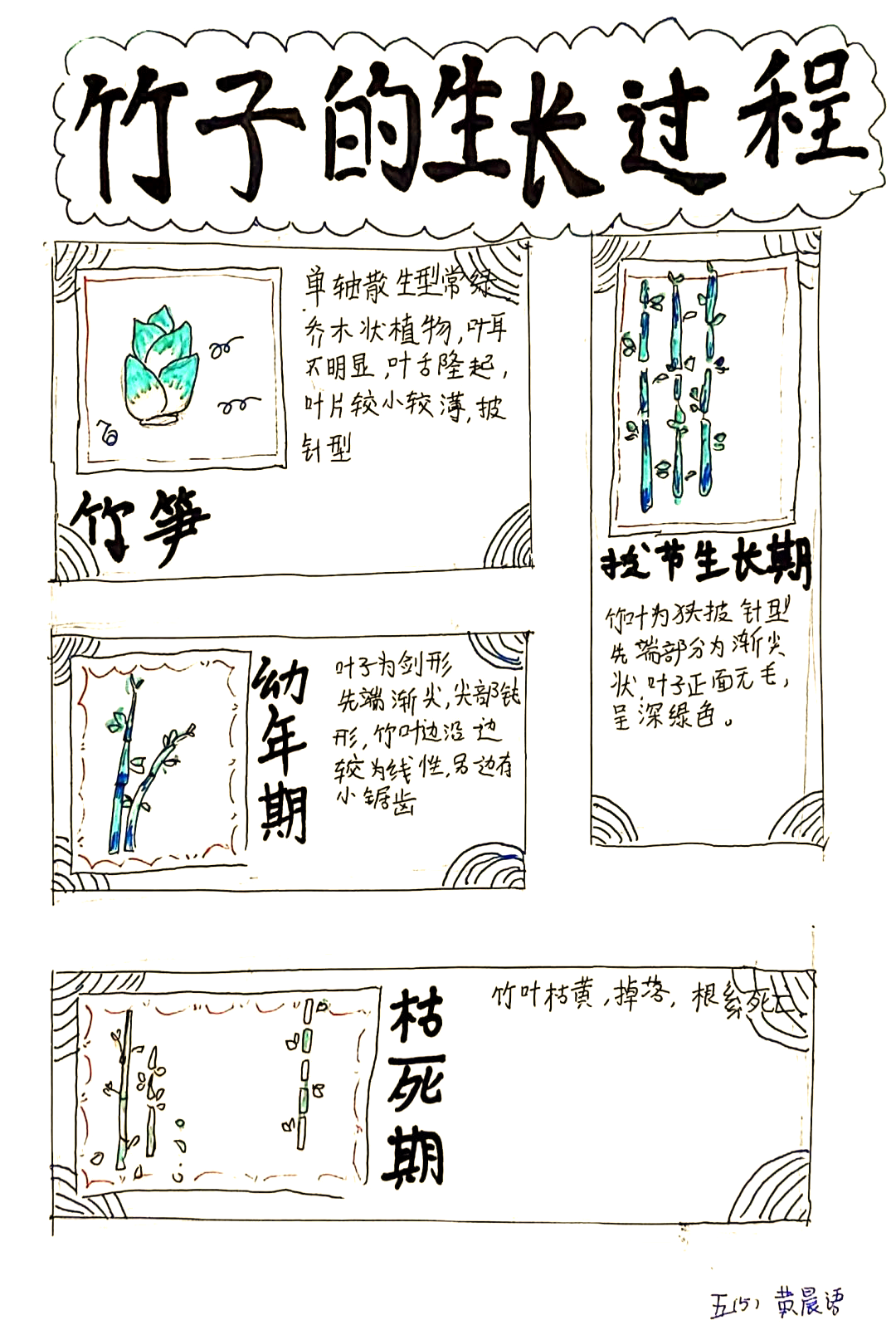 "竹"迹系列课程