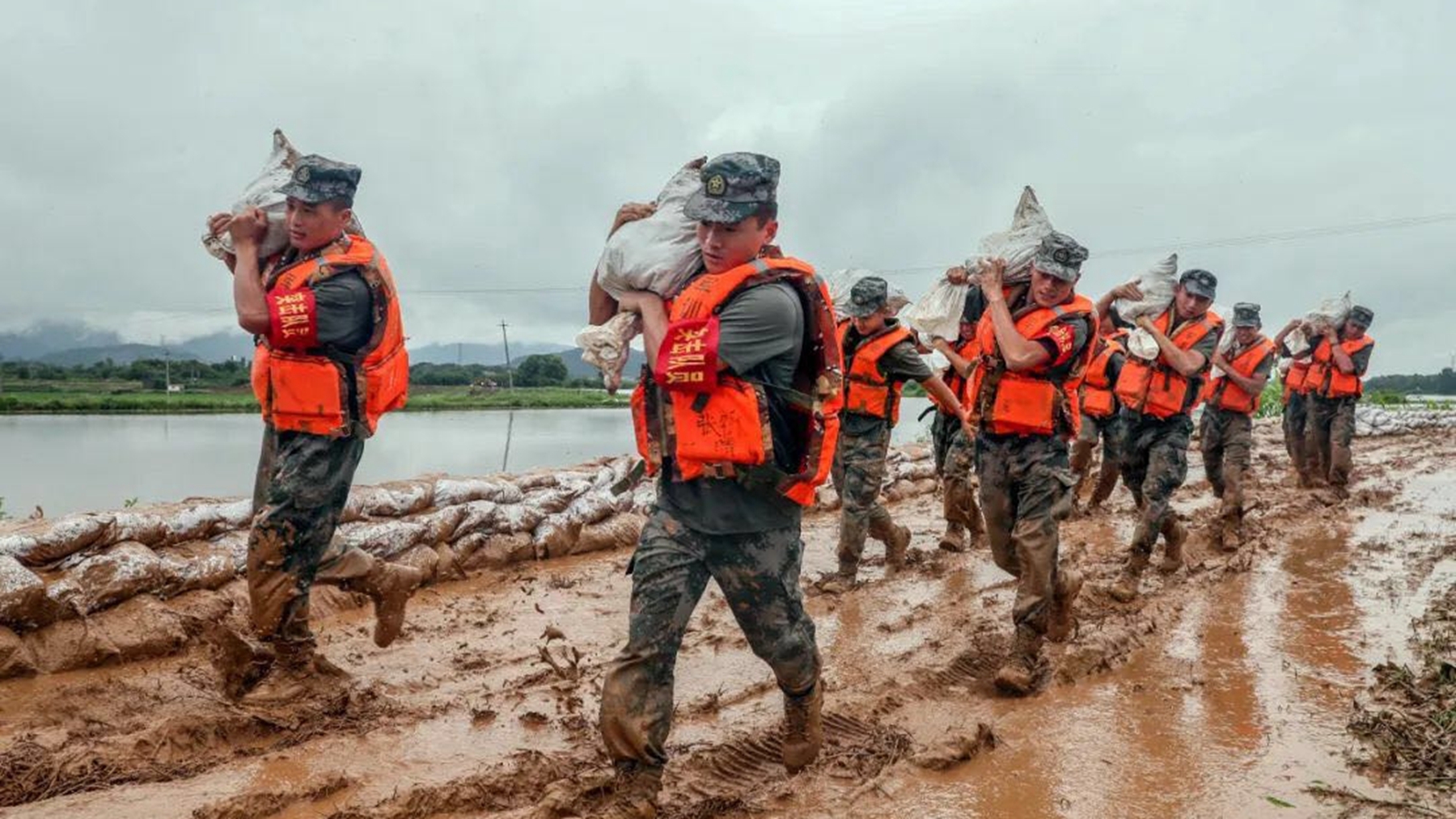 《为了谁》这首歌表达什么意思?是谁演唱的这首歌?