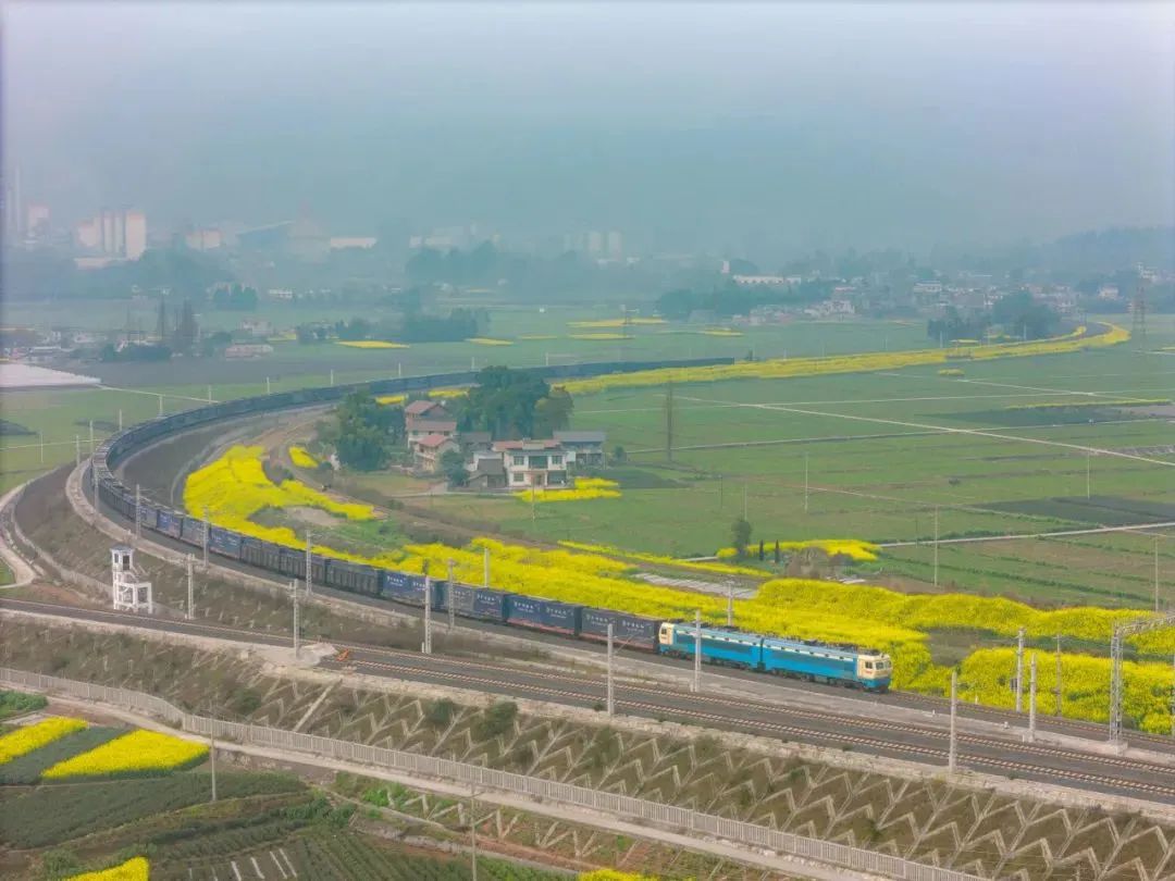 开往春天的列车