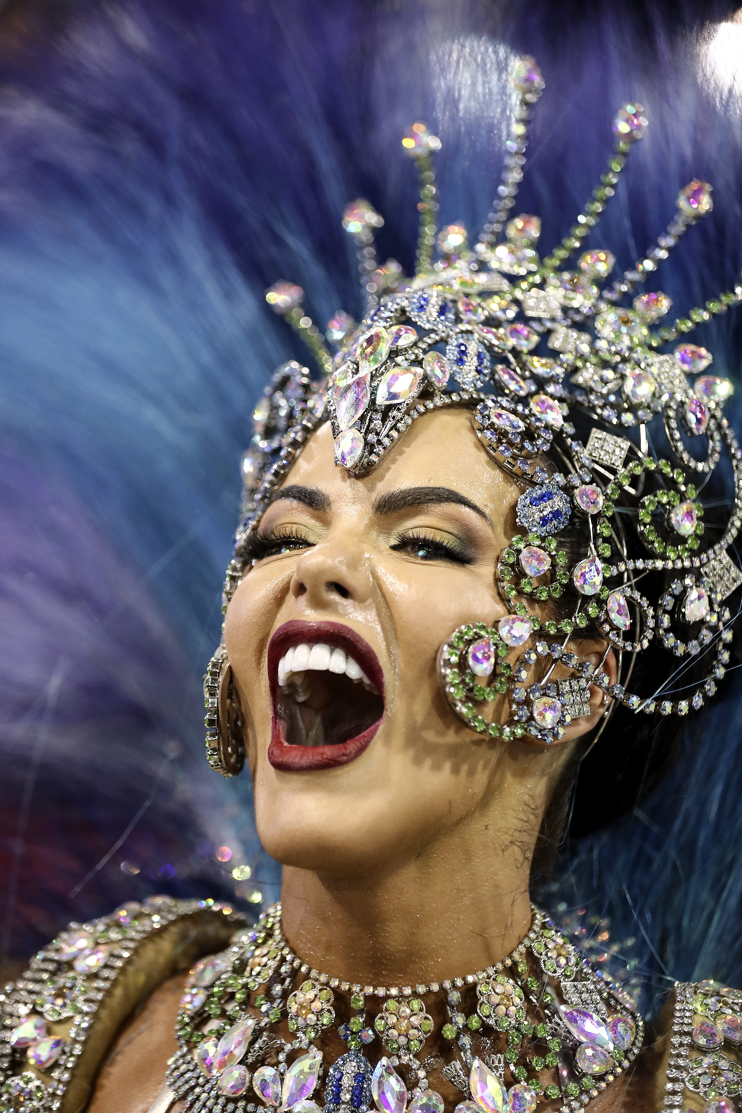 狂欢节上的桑巴舞校表演(4)