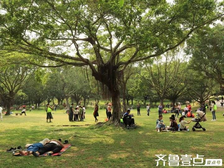 我和我的村庄.张艳慧