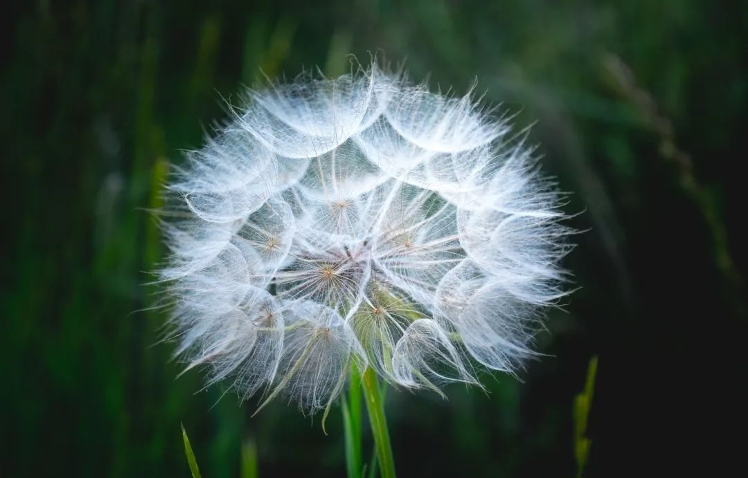 快手封面句子的背后故事与情感解析