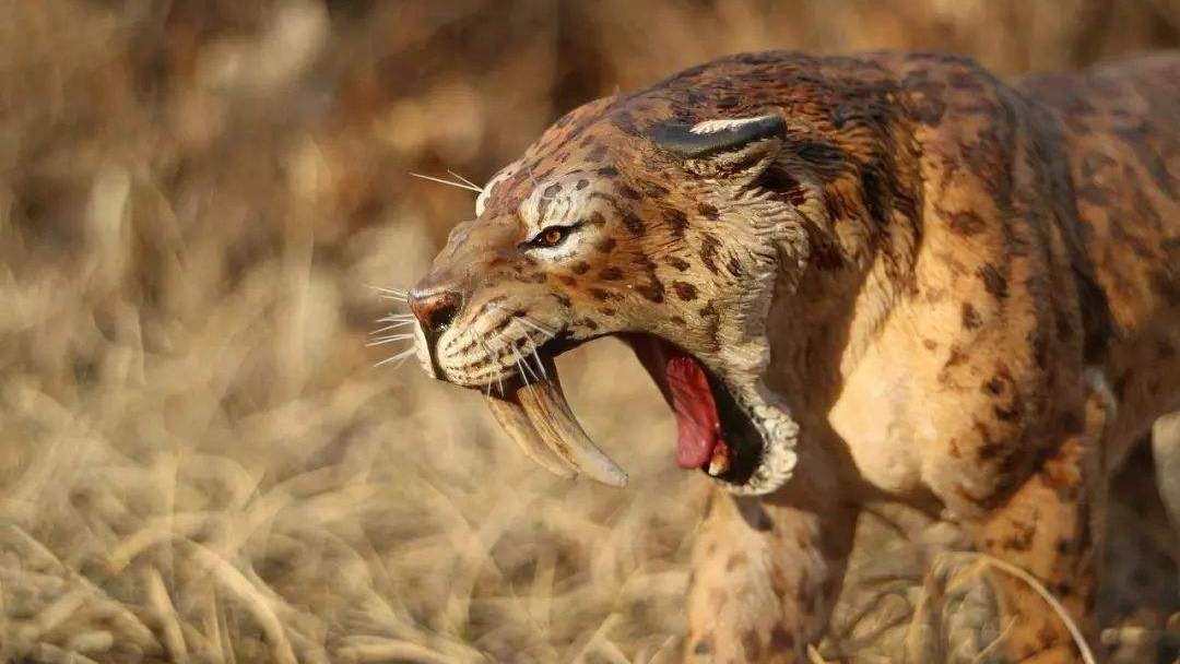 盘点史前致命捕食者,个个身怀绝技,来看看它们到底有多强?