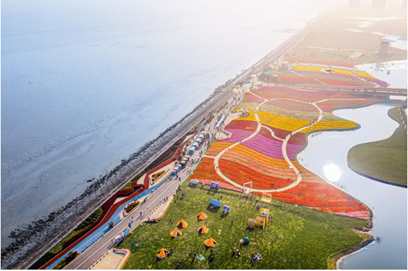 启东圆陀角旅游度假区:红色直播间,助力长江大保护