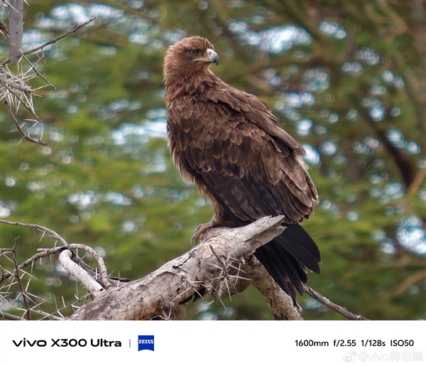vivo全新增距镜揭晓:大炮400等效400mm!行业最高倍率