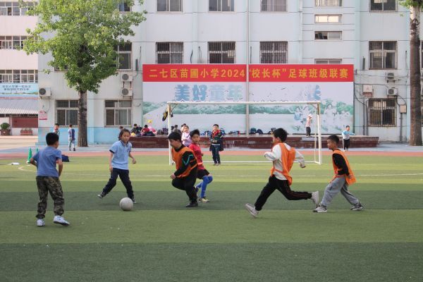 二七区苗圃小学图片