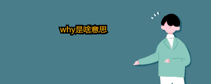 单词why是啥意思