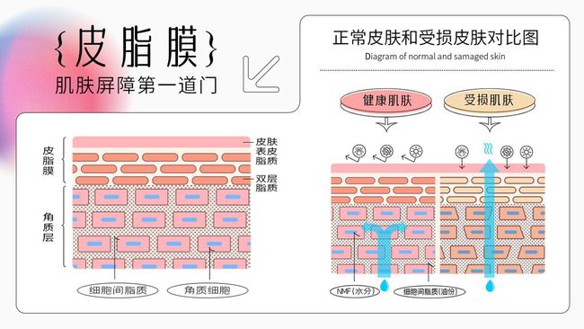 分享皮肤保养的九大因素(下)