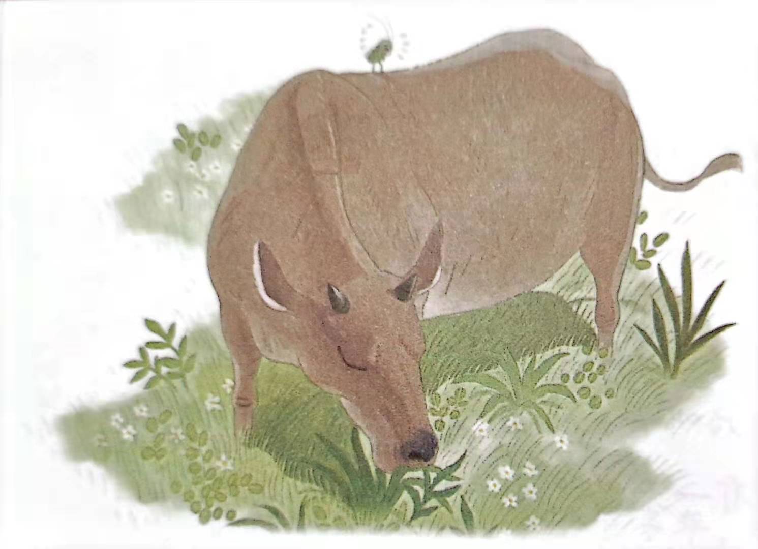 《在牛肚子里旅行》教案