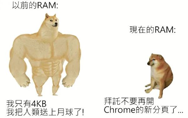 肌肉 doge 与小废狗 梗图