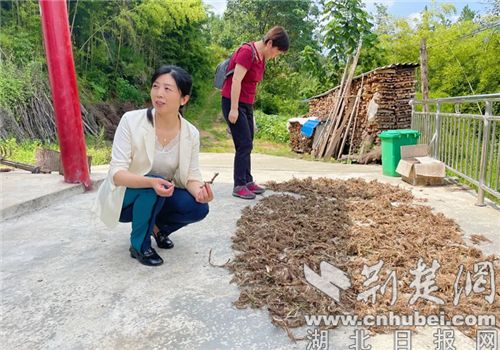 襄阳市中西医结合医院