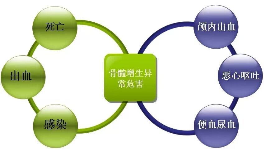 中老年人要警惕骨髓增生异常综合征