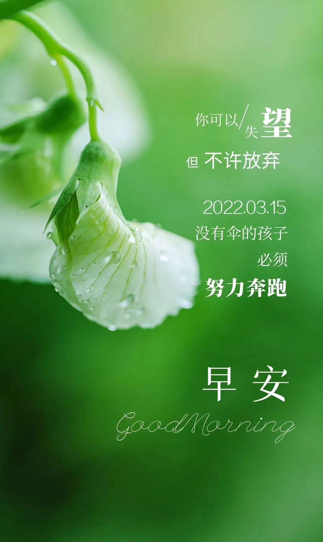 3月15日早安正能量朋友圈经典语录句子 朋友圈早安文案正能量图片