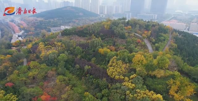 隐藏在济南市区的这座森林公园,此时漫山斑斓,景美还免费!