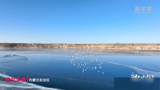 萨拉乌苏大峡谷图片