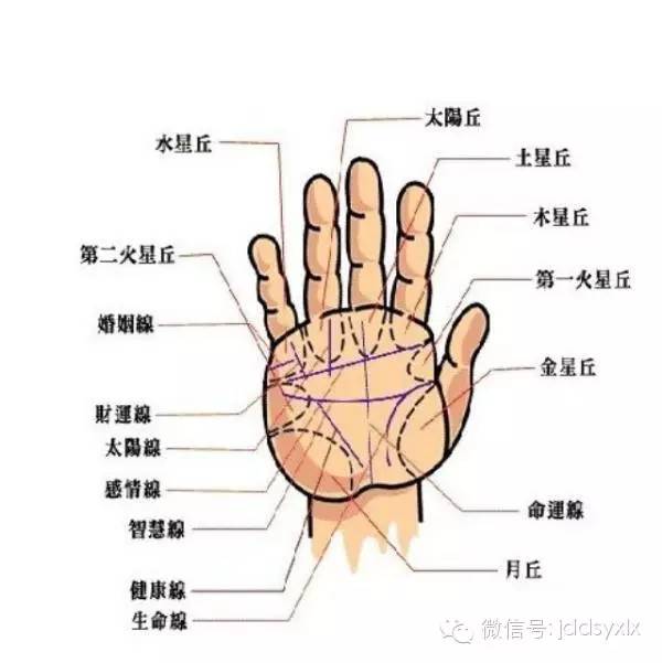 从手型看性格命运