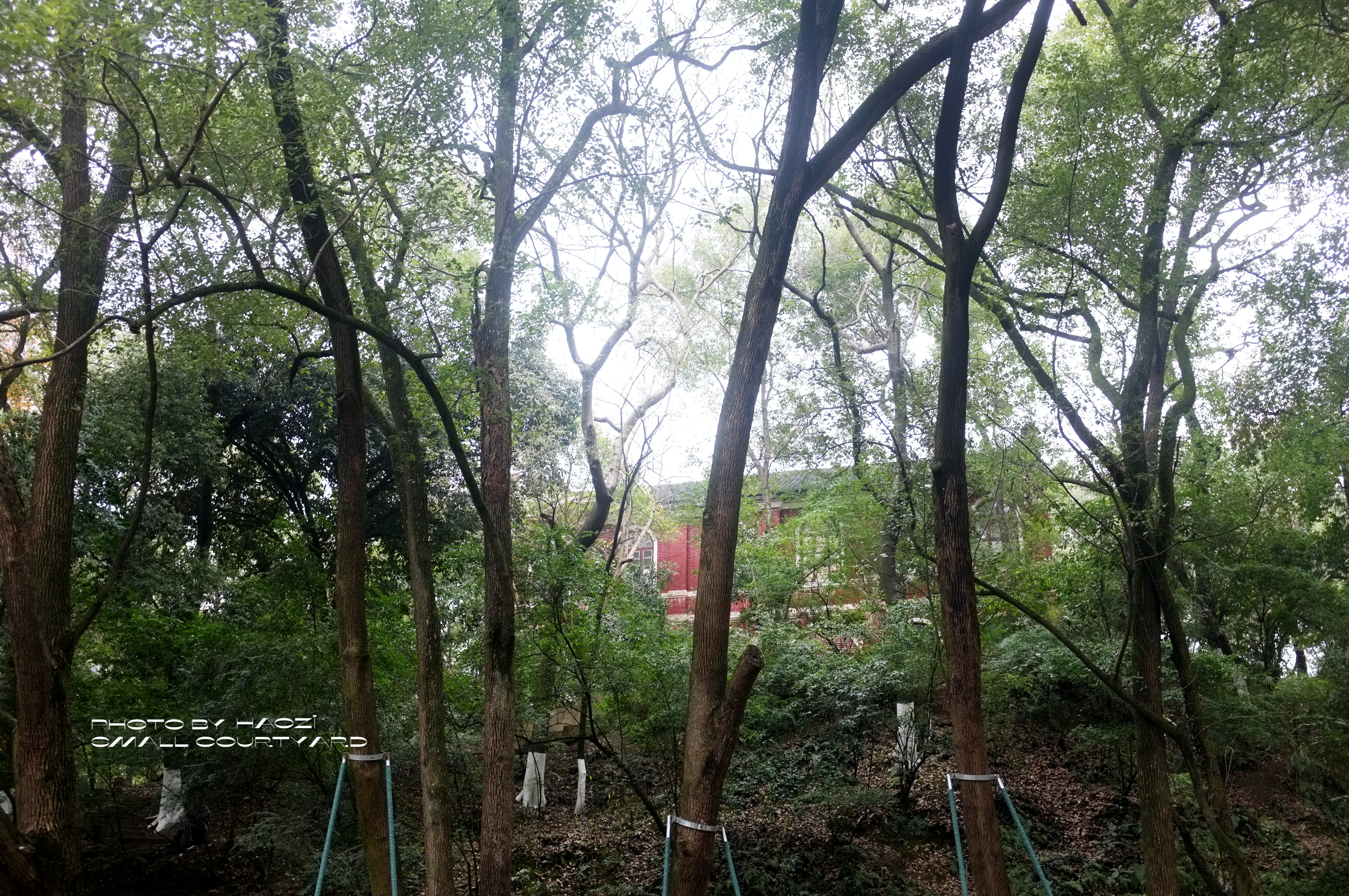 邵阳城南公园里有一幢风格独特的老建筑,曾是苏联专家的休闲场所