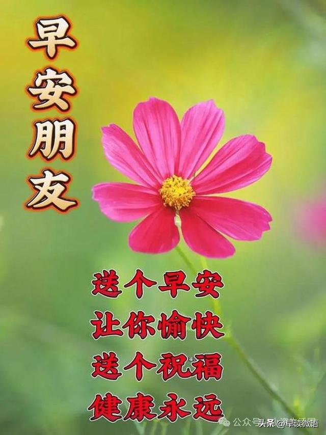 早上好短句10字问候发女朋友(早上好短句10字问候发女朋友的话)
