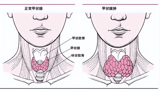 《疏調學術論壇》淺談