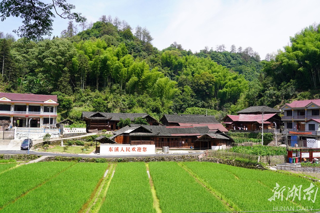 马底驿乡:千年古驿 生态茶乡