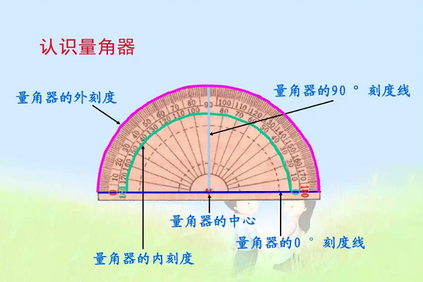 脚的名称分解图图片