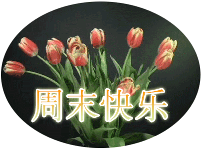 平安普惠全天人工021-5722-3859 或400-858-0580电话客服周末不休