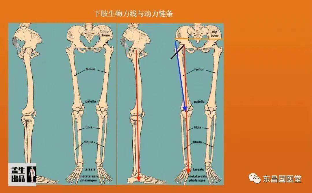 李明讲中医 治疗膝关节骨性关节炎调摄新思路