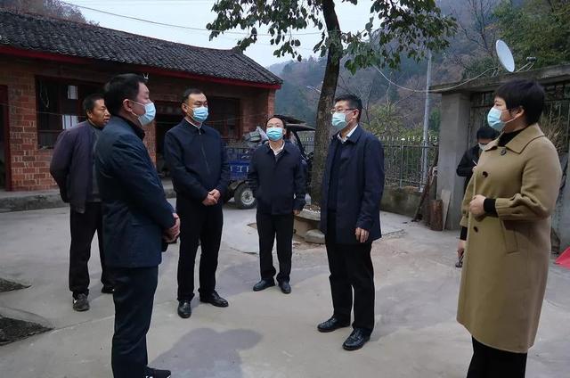 徐江博深入商南县清油河镇调研巩固脱贫攻坚成果同乡村振兴有效衔接