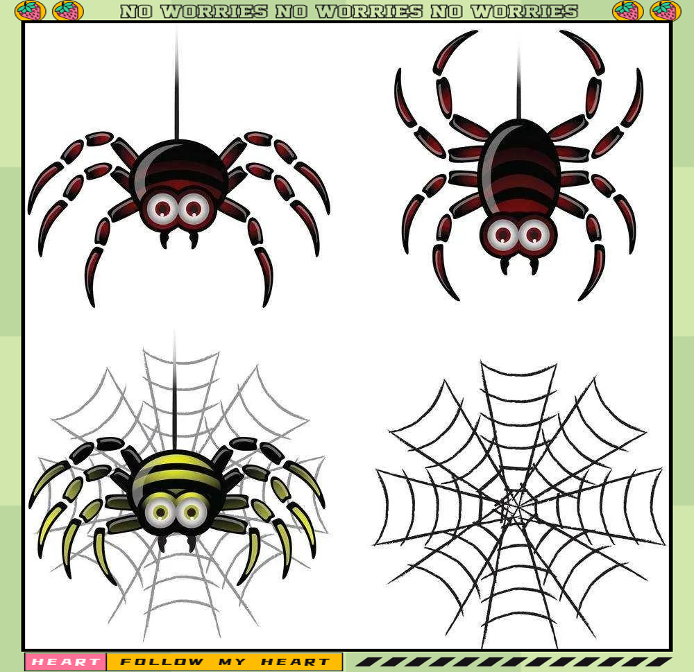 蜘蛛为什么不属于昆虫