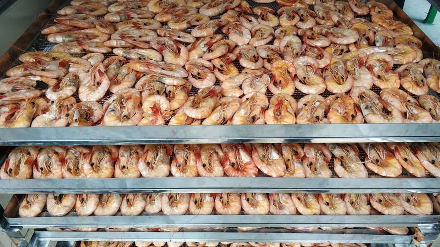 虾米烘干机 虾仁烘干设备 快速虾干烘烤箱