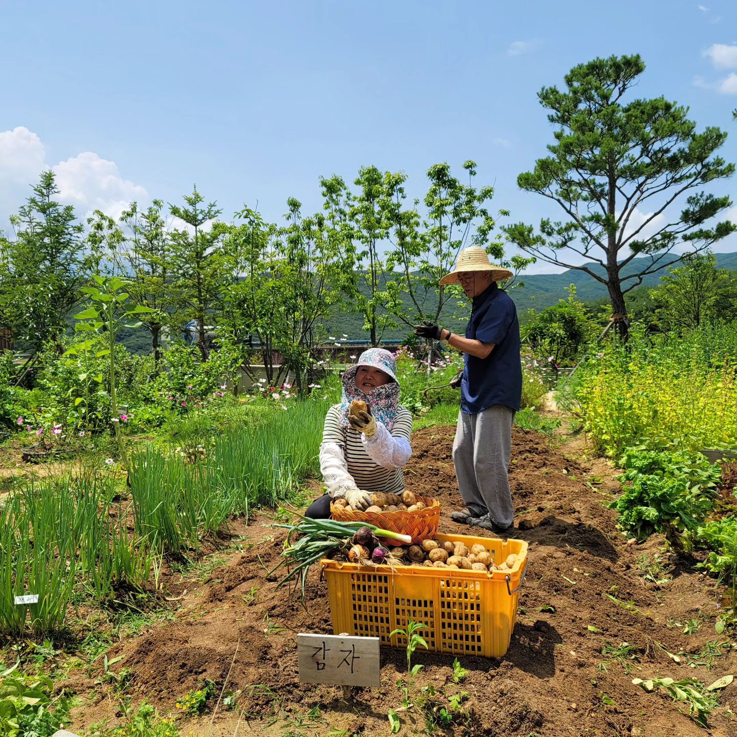 种地照片老农民图片