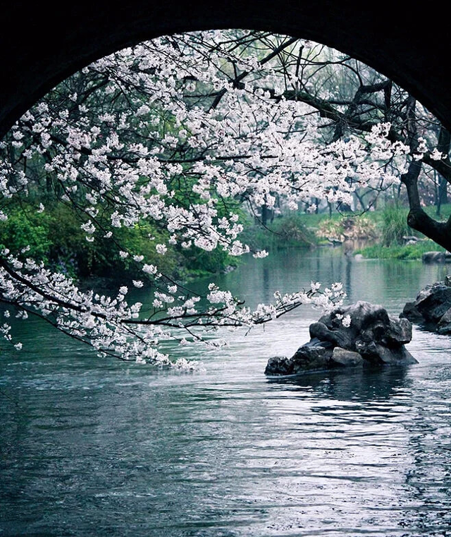 诗词|时有落花至,远随流水香