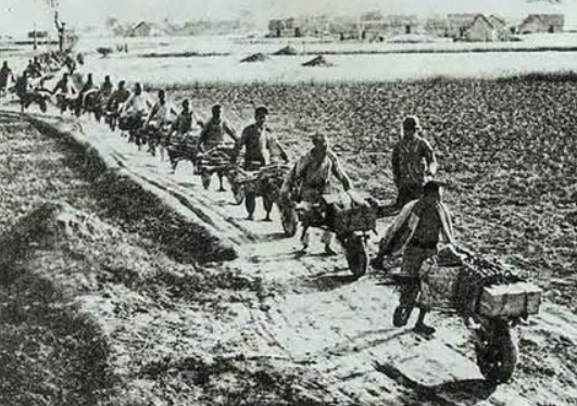 "半生戎马,半辈育人"的张卓如