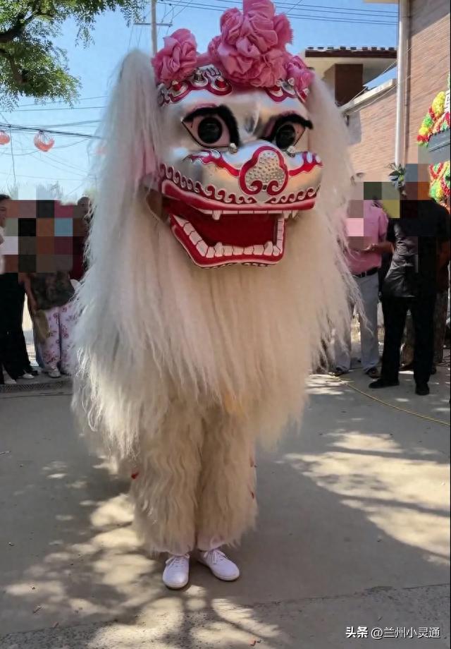 白狮灵前来吊孝,灵性逆天人伤感!