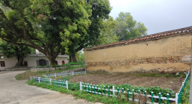 四会罗源镇:首批10户农民签约加盟"共享菜园"