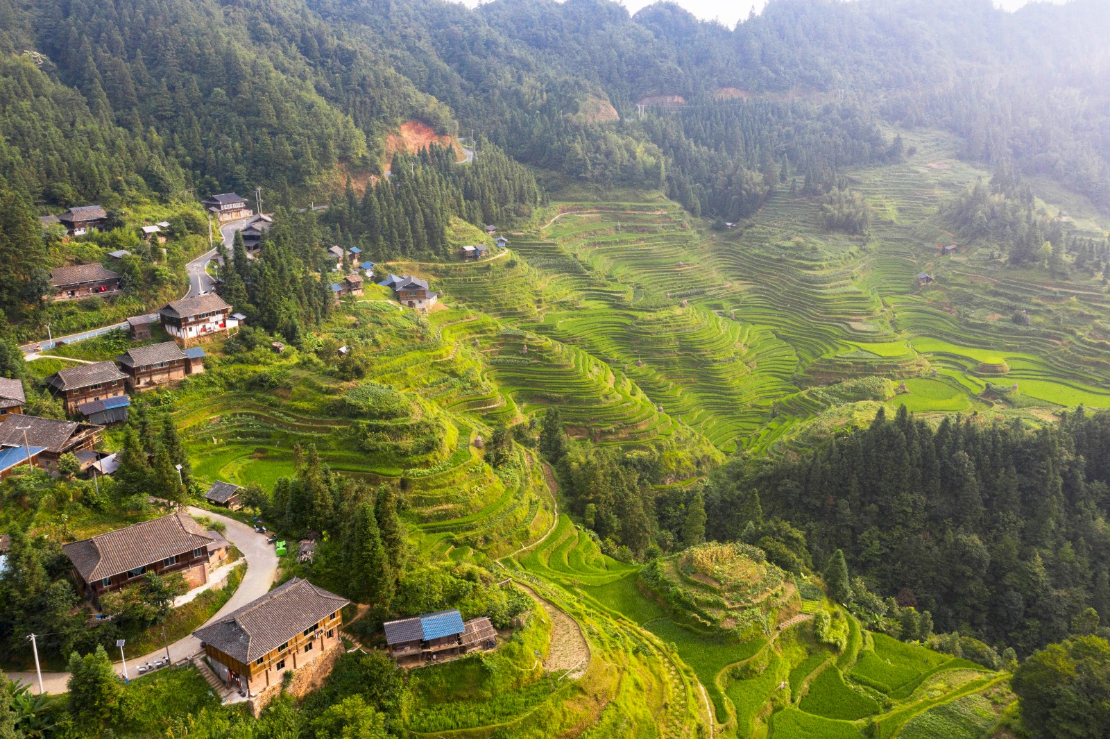 从江梯田风景图片