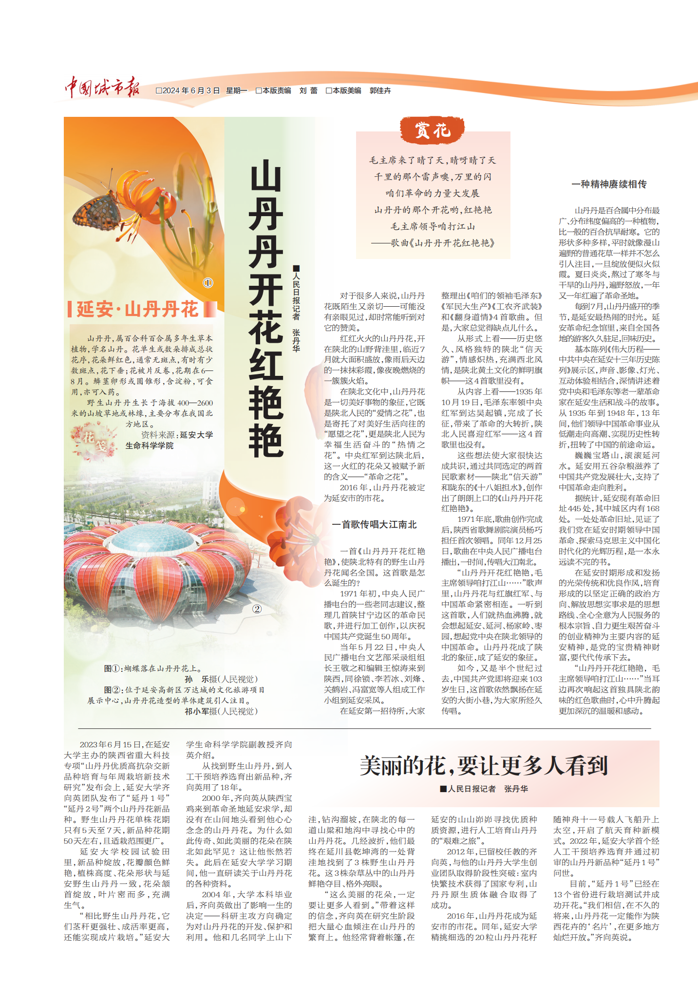 山丹丹开花红艳艳