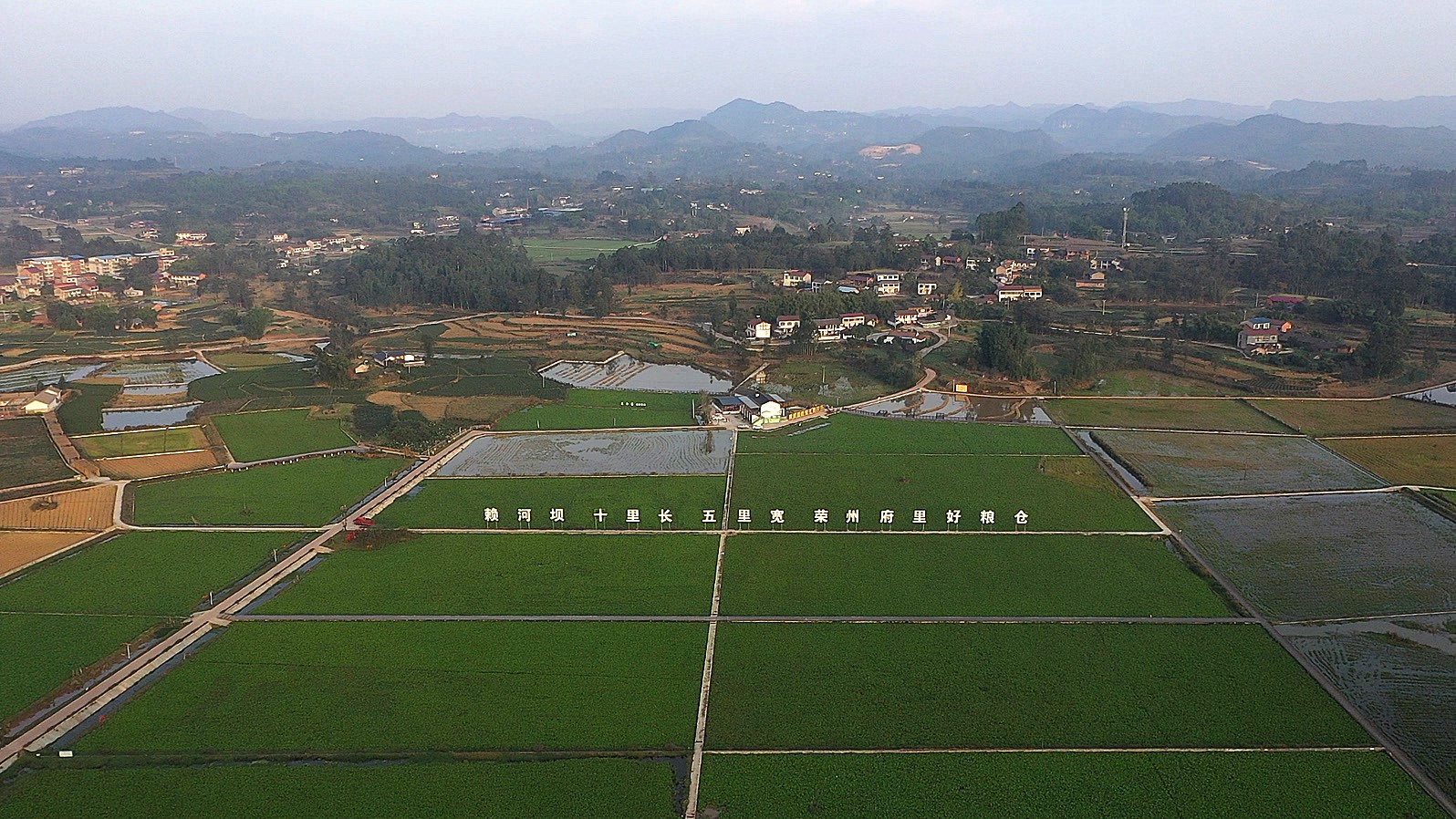 荣县观山镇围绕农业增效 推动乡村振兴战略落地见效