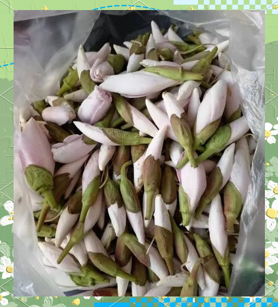 云南野花野菜的中毒风险及预防措施