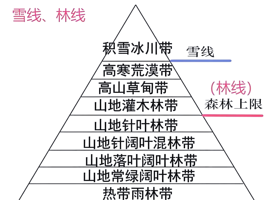 高考地理中的垂直带谱判读方法解析