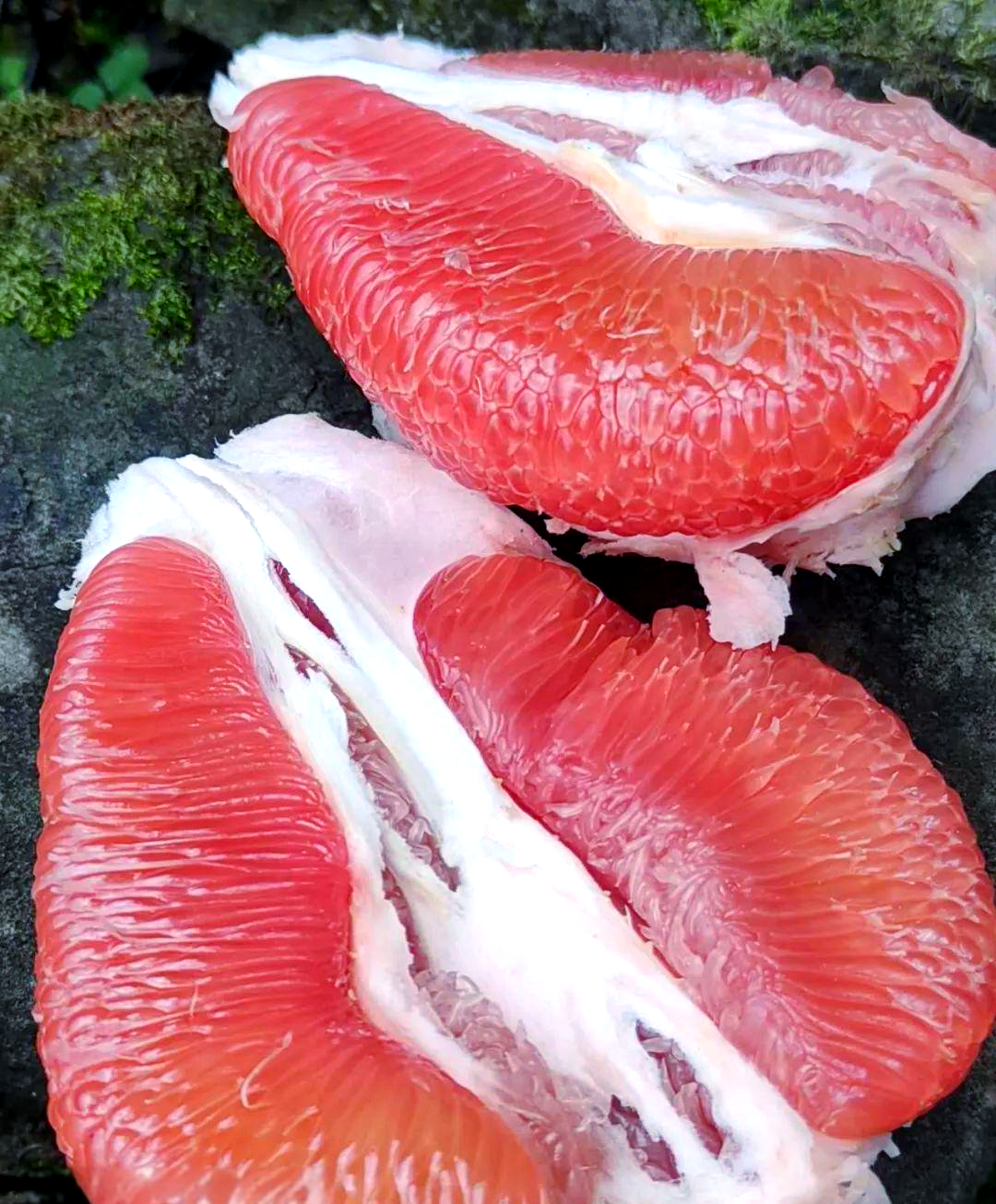 秋冬水果之王,十大柚子你最爱哪款